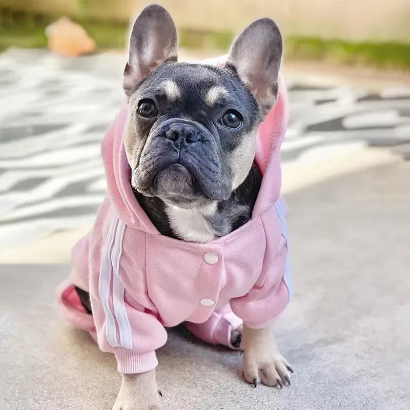 Bluza dresowa Adidog dla psa – Ciepły dres z kapturem