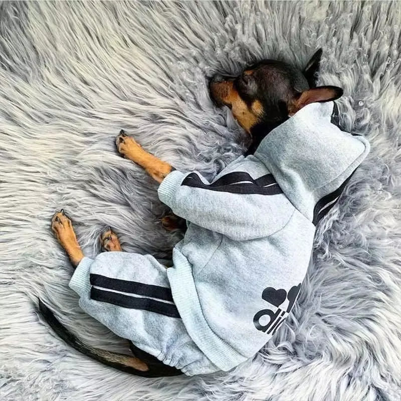 Bluza dresowa Adidog dla psa – Ciepły dres z kapturem