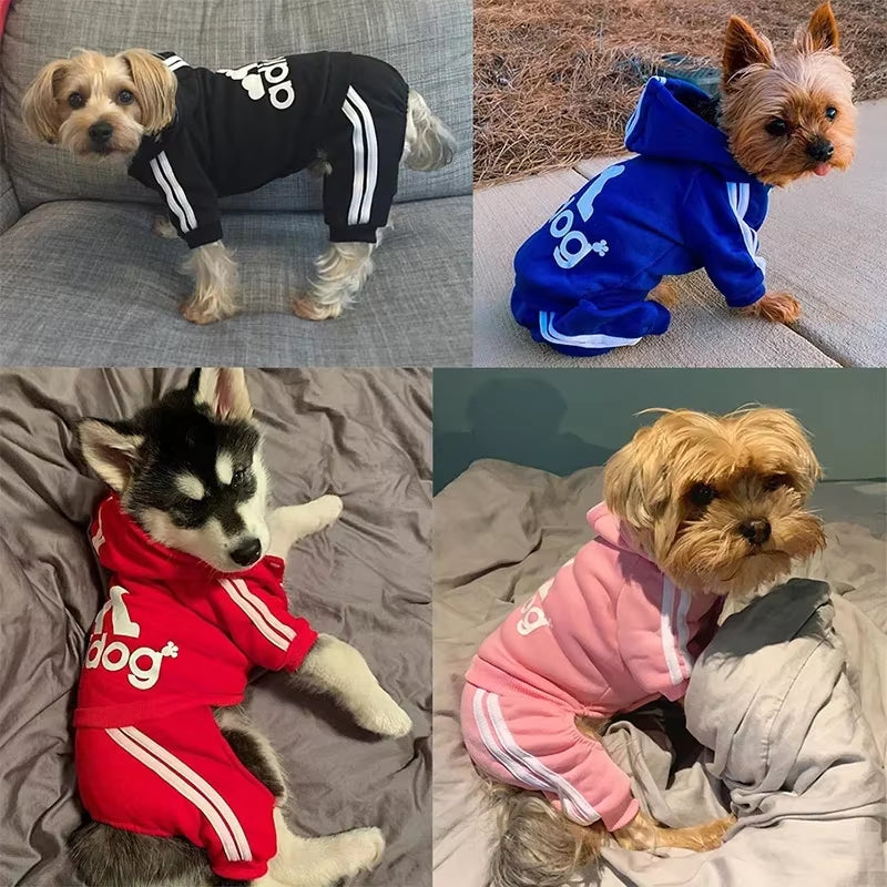 Bluza dresowa Adidog dla psa – Ciepły dres z kapturem